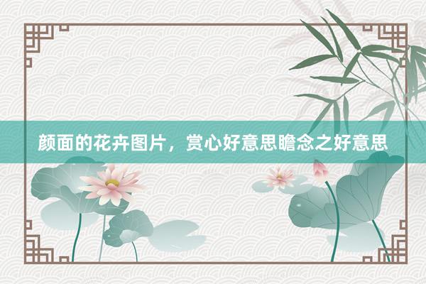 颜面的花卉图片，赏心好意思瞻念之好意思