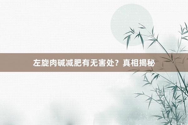 左旋肉碱减肥有无害处？真相揭秘