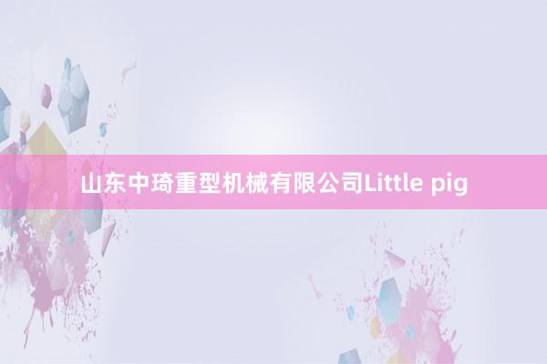山东中琦重型机械有限公司Little pig